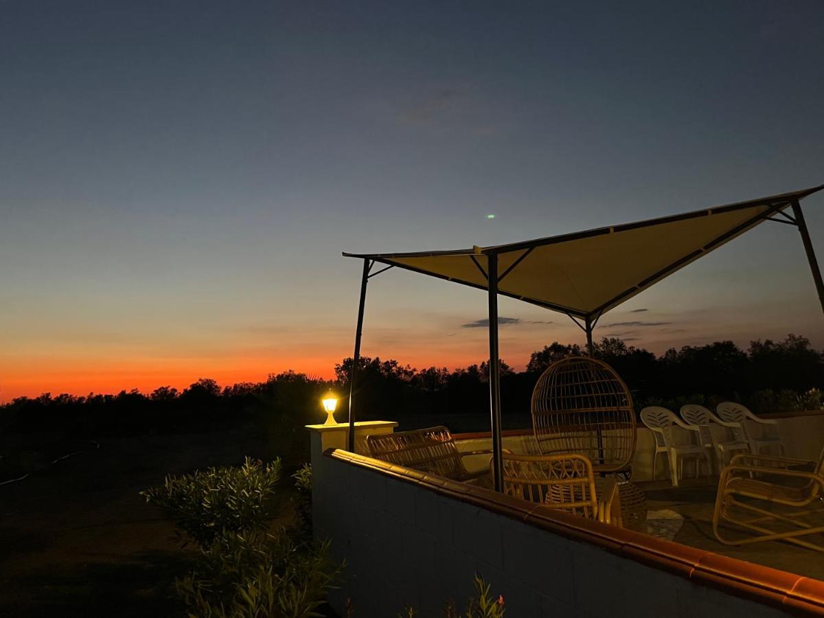 Quinta Da Amoreira Ferreira Do Alentejo Ngoại thất bức ảnh